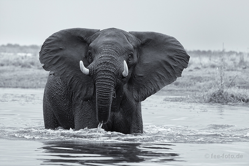 Erfrischung gefaellig
